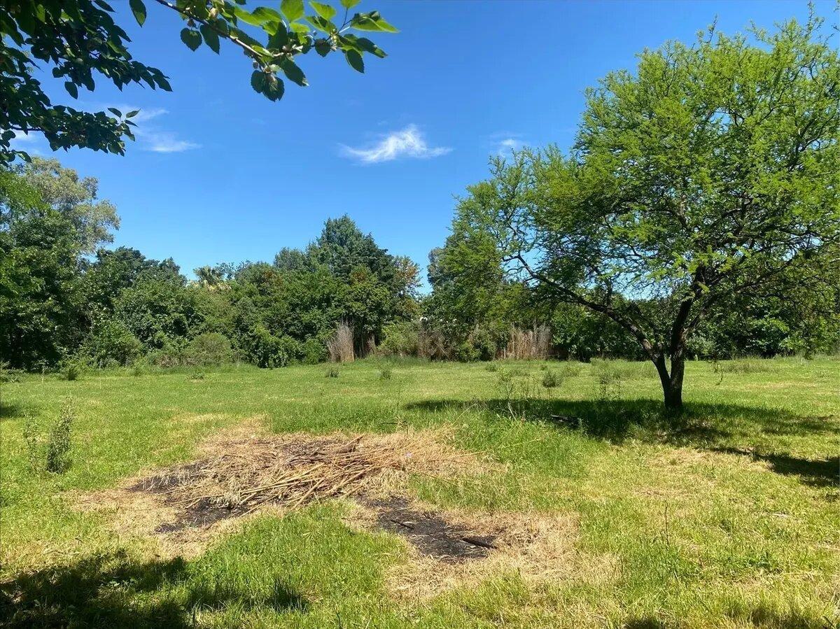 Foto de Terreno Venta Arbolado En La Lonja, Pilar, G.b.a. Zona Norte, imagen 2