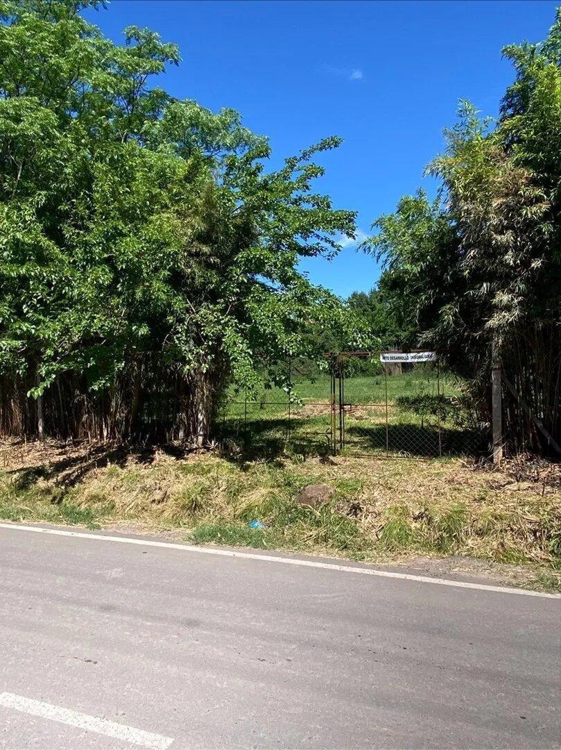Foto de Terreno Venta Arbolado En La Lonja, Pilar, G.b.a. Zona Norte, imagen 3