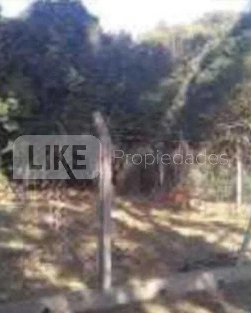 Foto de Lote en Venta .Los Reartes, Calamuchita, Córdoba, imagen 5