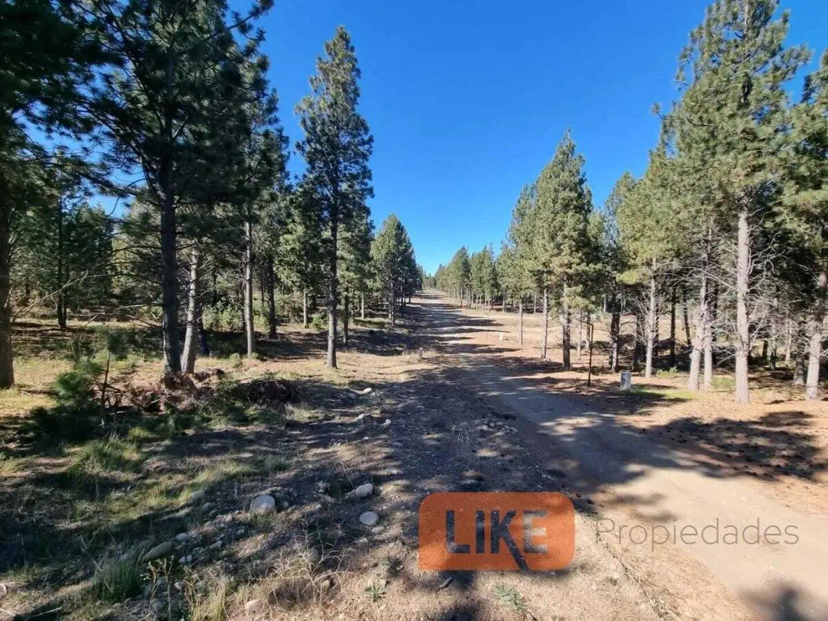 Foto de Terreno Lote En Venta En Solares De Bariloche, Bariloche, Patagonia, imagen 4