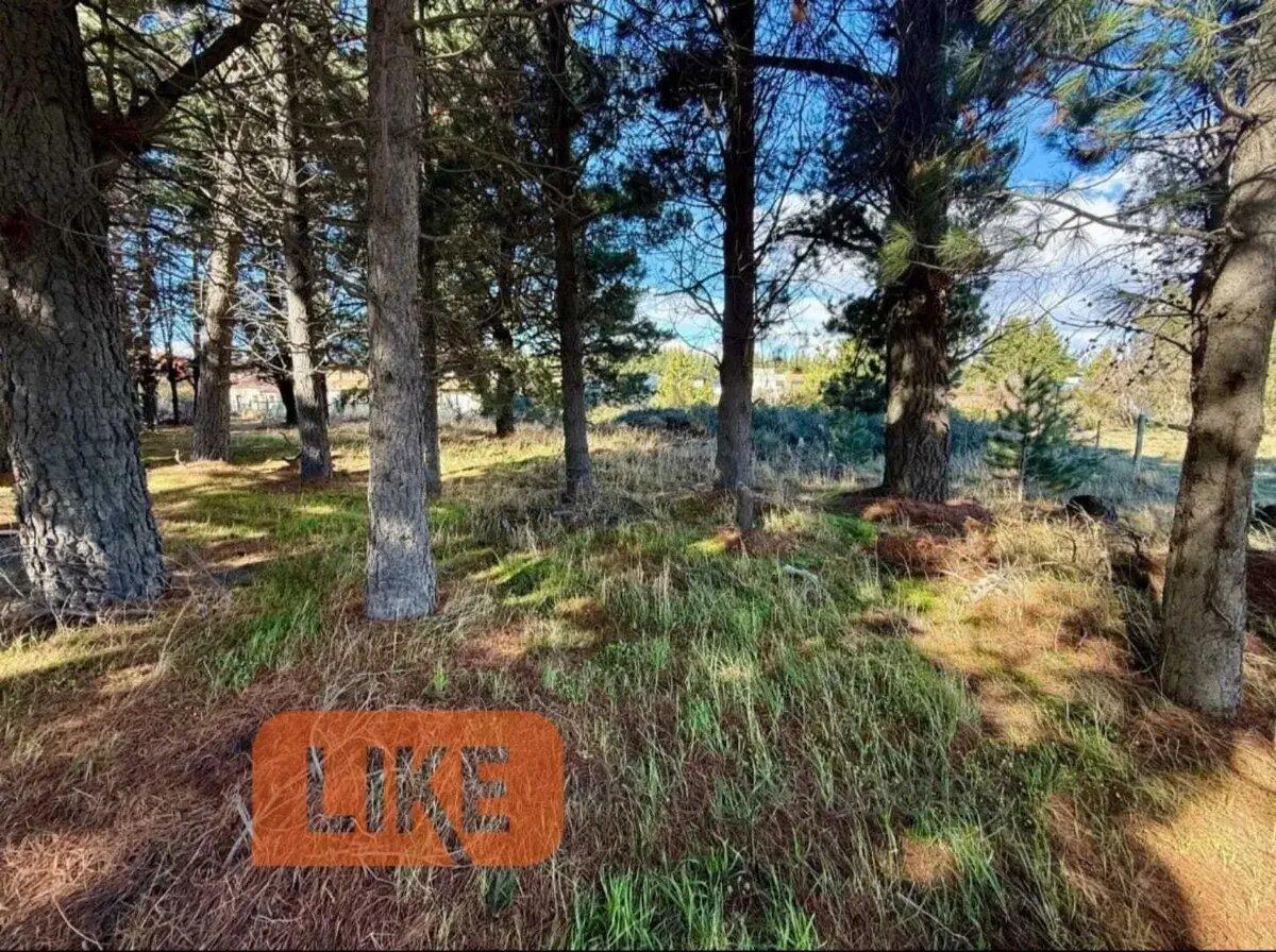 Foto de Terreno Lote En Venta En Bariloche, Patagonia, Argentina, imagen 5