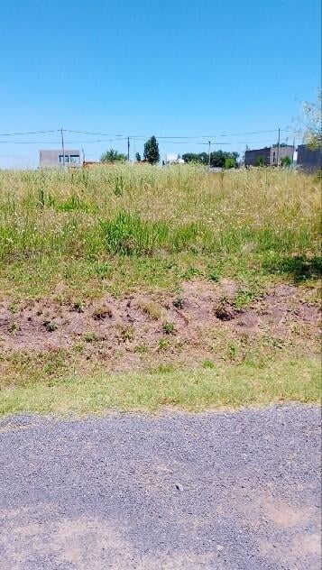 Foto de Terreno en venta EcoVida, imagen 3
