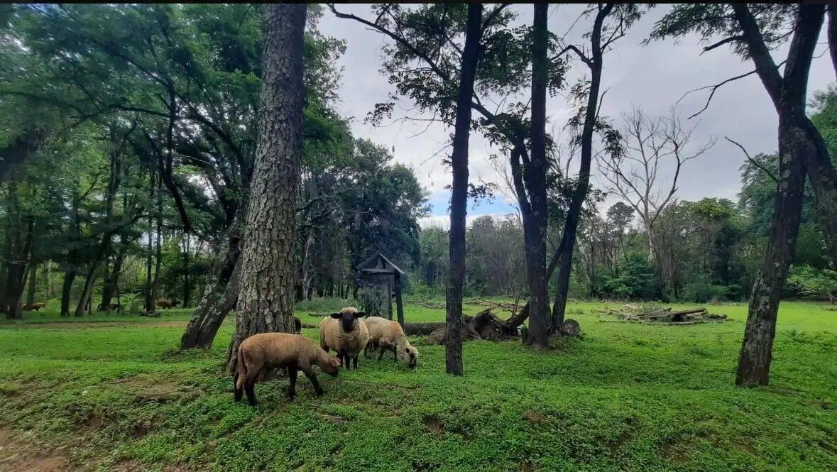 Foto de Terreno Lote En Venta En Potrero De Garay, Calamuchita, Córdoba, imagen 3
