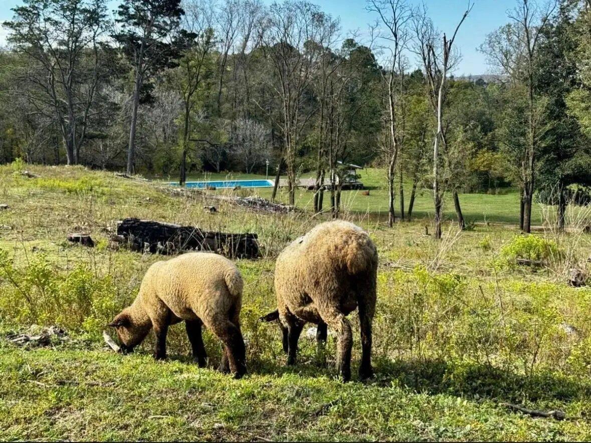 Foto de Terreno Lote En Venta En Potrero De Garay, Calamuchita, Córdoba, imagen 2