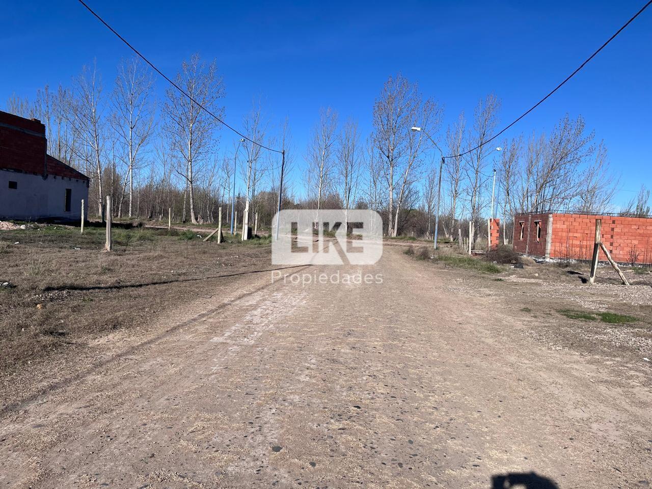 Foto de Terreno Venta, imagen 3