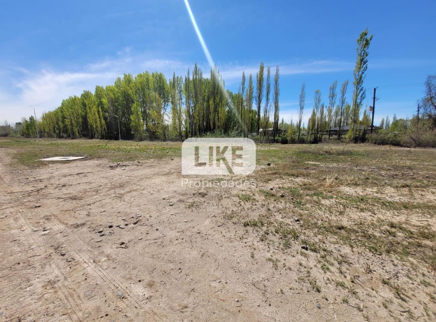 Foto de Venta terreno Altos de Vista Alegre, imagen 3