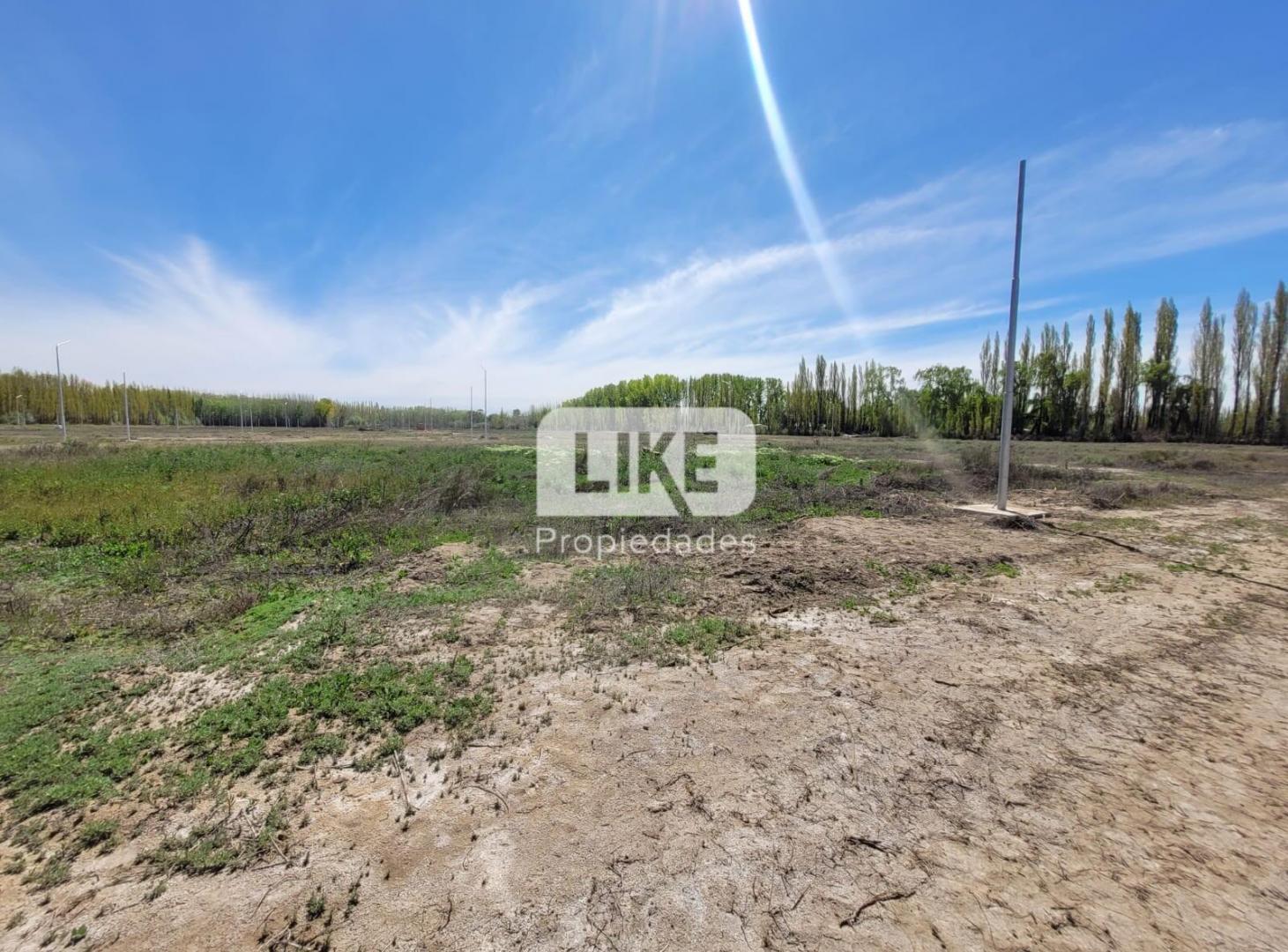 Foto de Venta terreno Altos de Vista Alegre, imagen 5