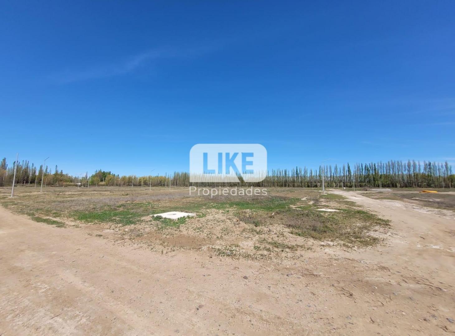 Foto de Venta terreno Altos de Vista Alegre, imagen 1
