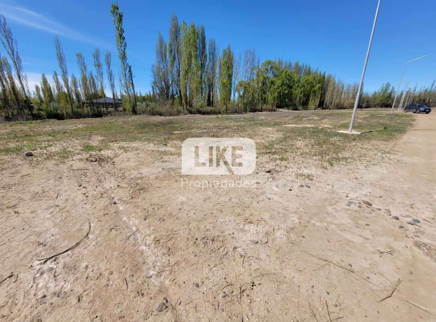 Foto de Venta terreno Altos de Vista Alegre, imagen 4
