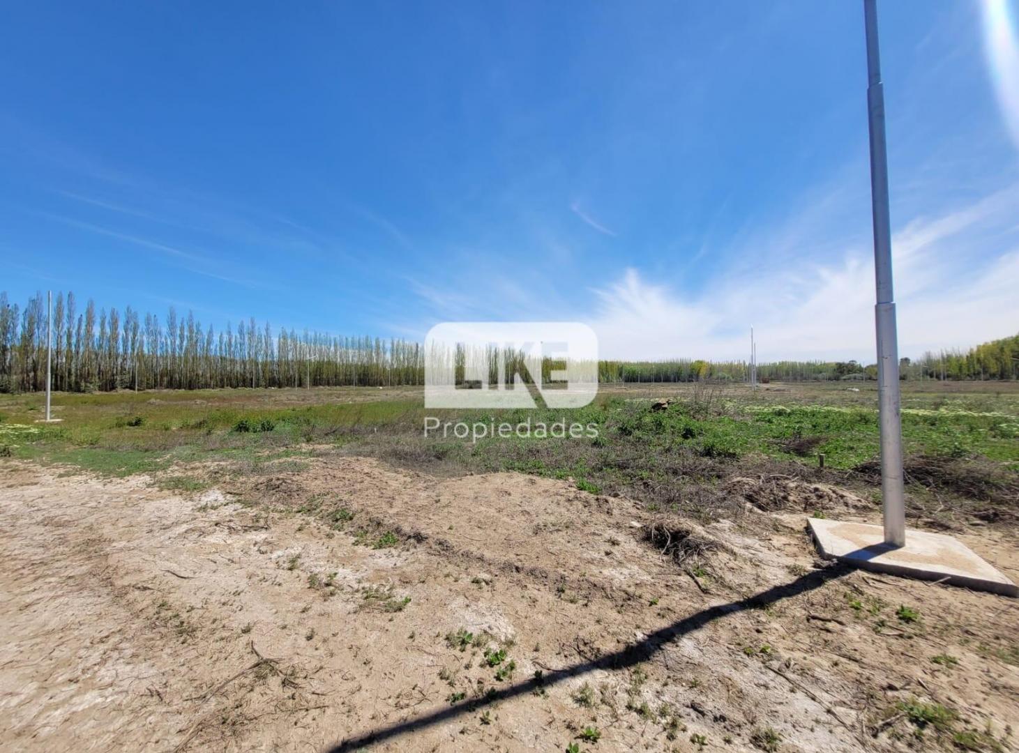 Foto de Venta terreno Altos de Vista Alegre, imagen 2