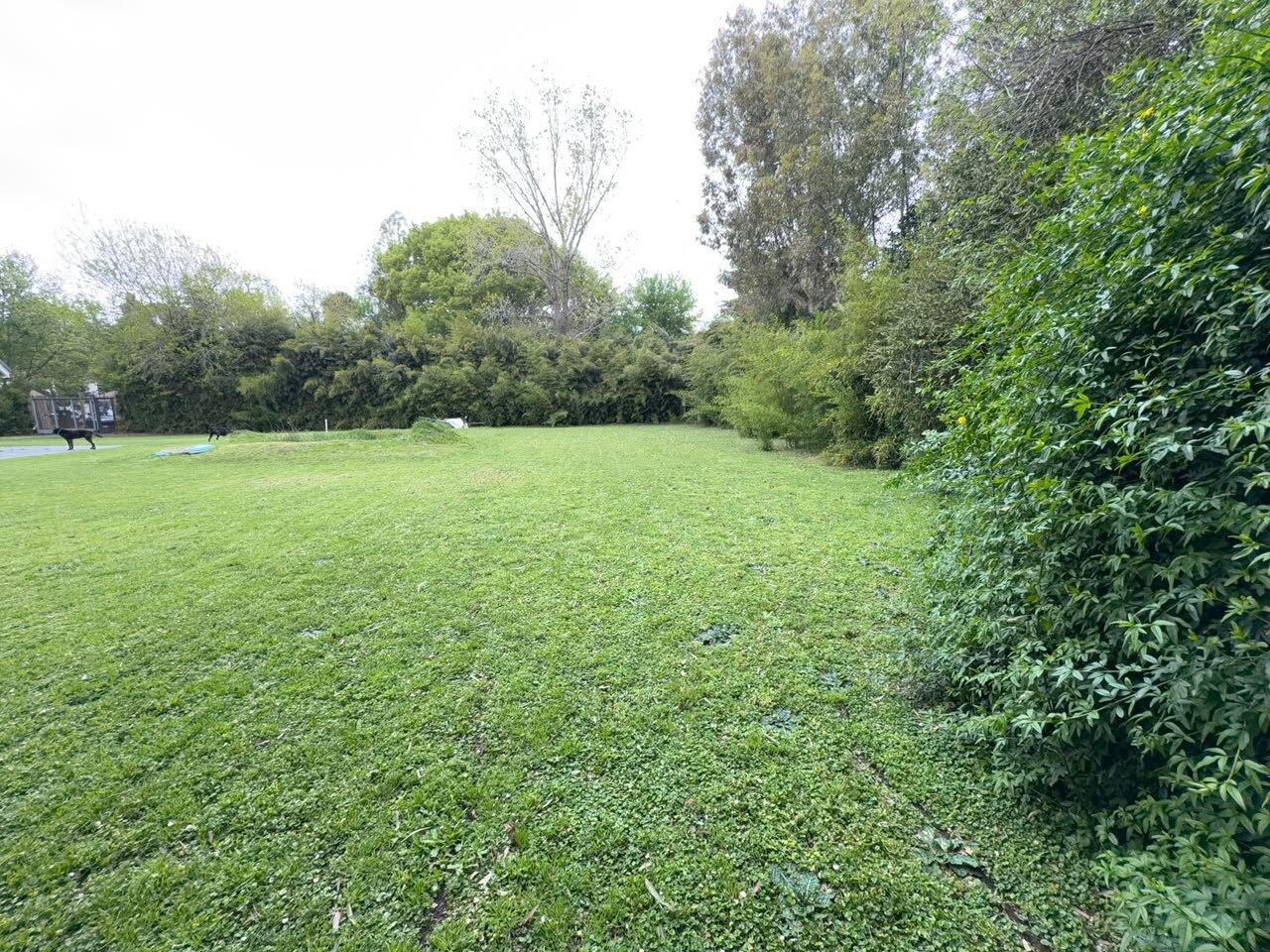 Foto de Terreno en VENTA. Arbolado en Del Viso, Pilar, G.b.a. Zona Norte, imagen 5