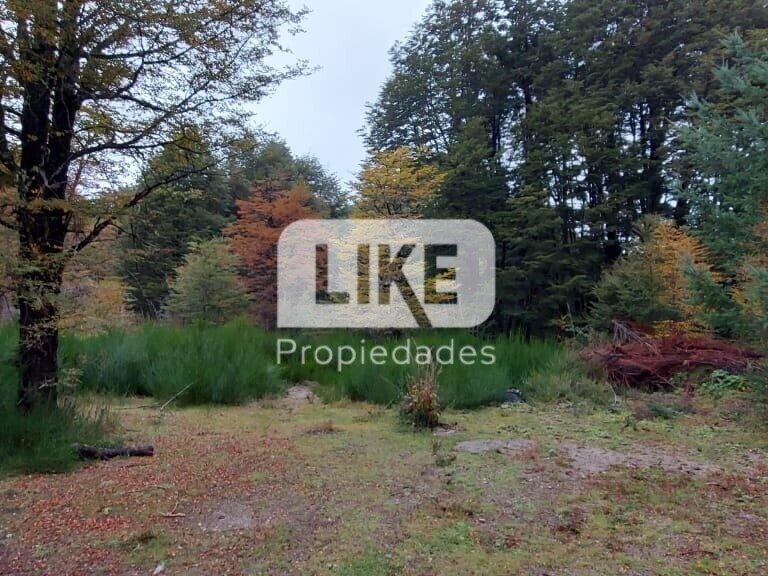 Foto de VILLA LA ANGOSTURA, imagen 2