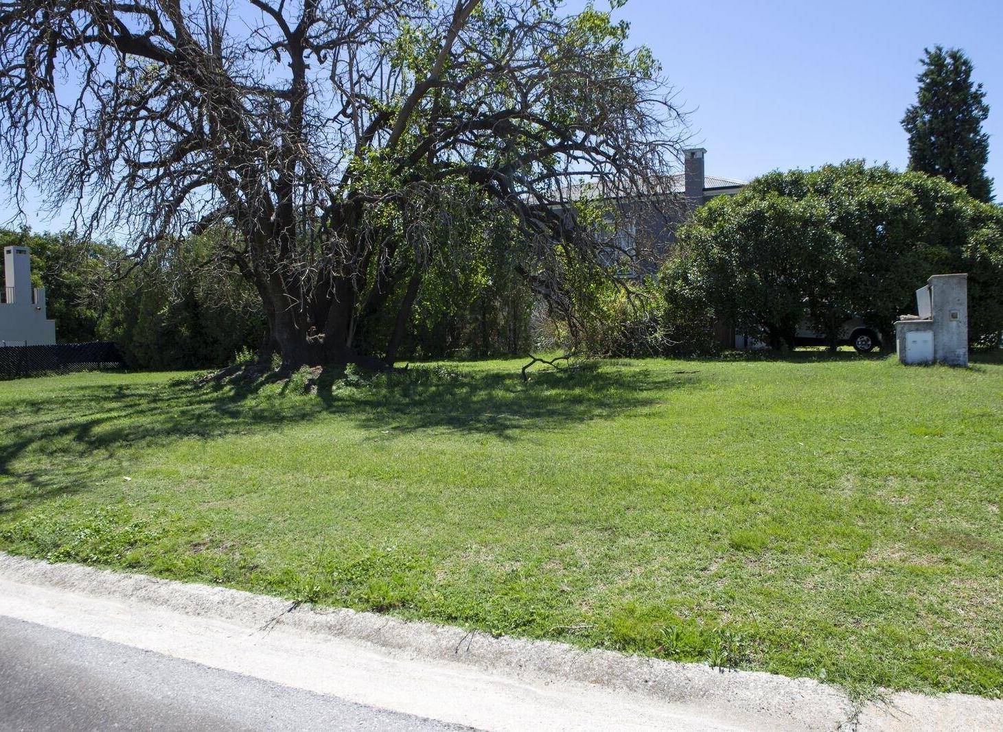 Foto de Lote de 600 m2 forestado con escritura apto crédito, imagen 4