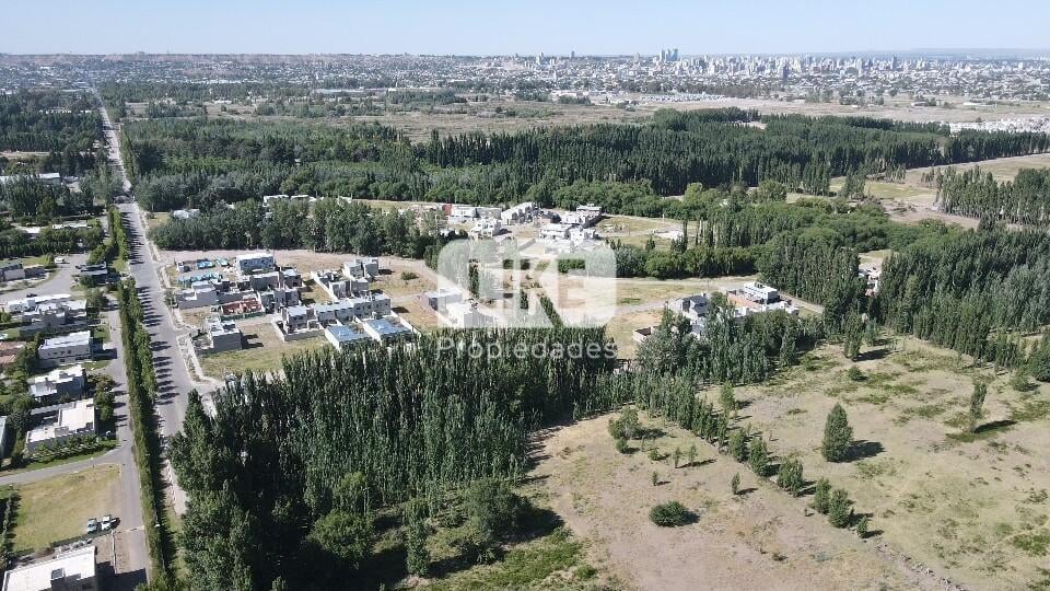Foto de LOTE Aires del Limay, imagen 4