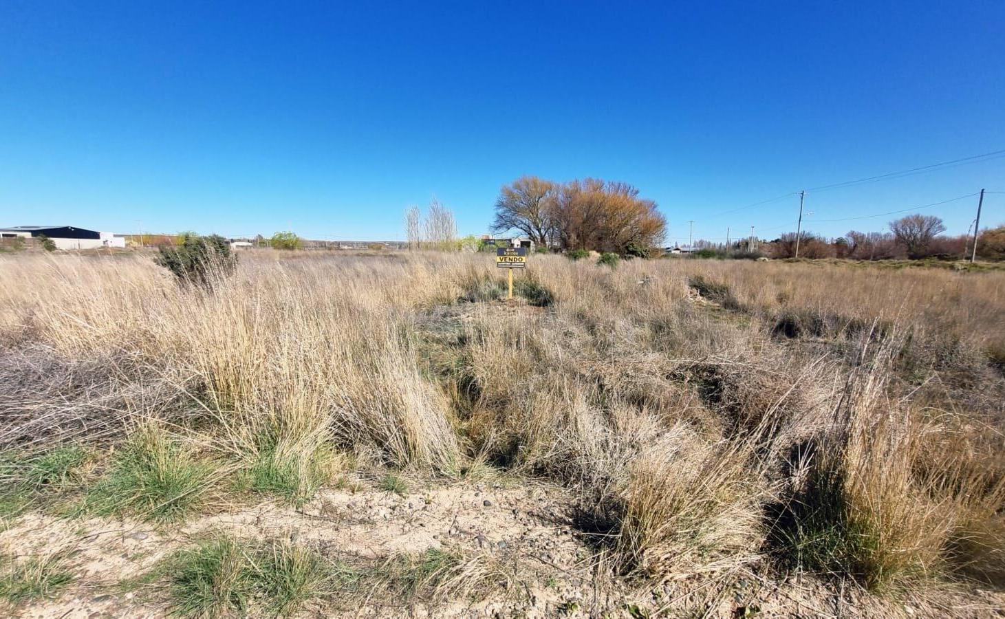 Foto de 🌿 ¡TU LUGAR EN FINCAS DEL TAID!, imagen 1