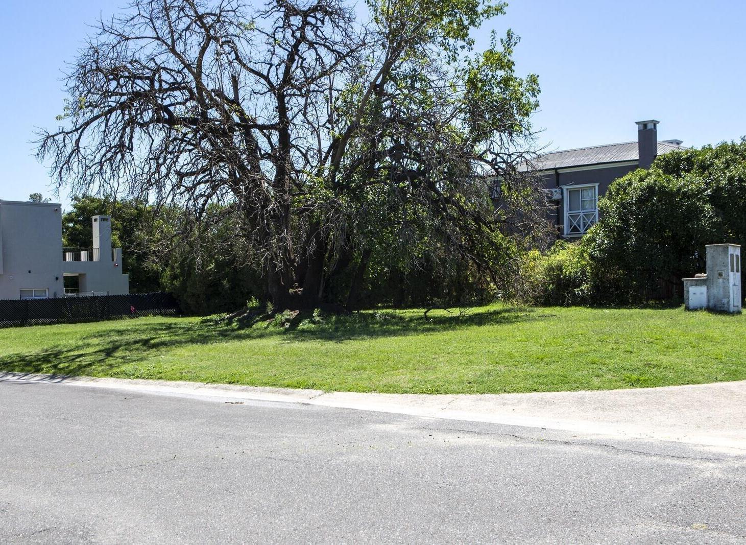 Foto de Lote de 650 m2 forestado con escritura apto crédito, imagen 4