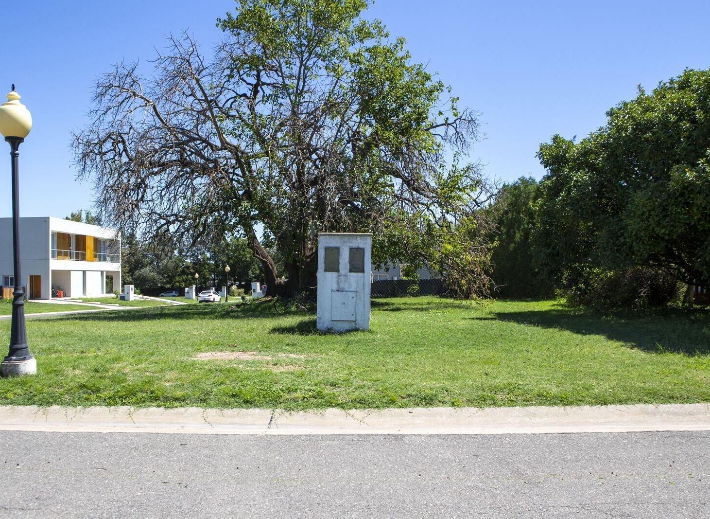 Foto de Lote de 650 m2 forestado con escritura apto crédito, imagen 3