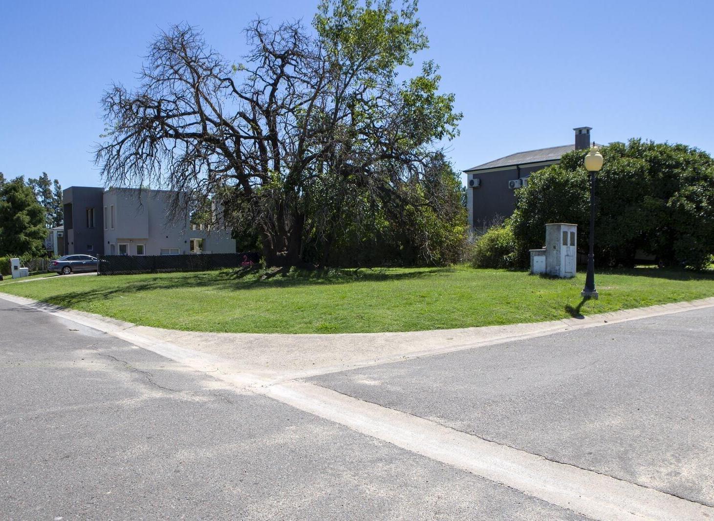 Foto de Lote de 650 m2 forestado con escritura apto crédito, imagen 2