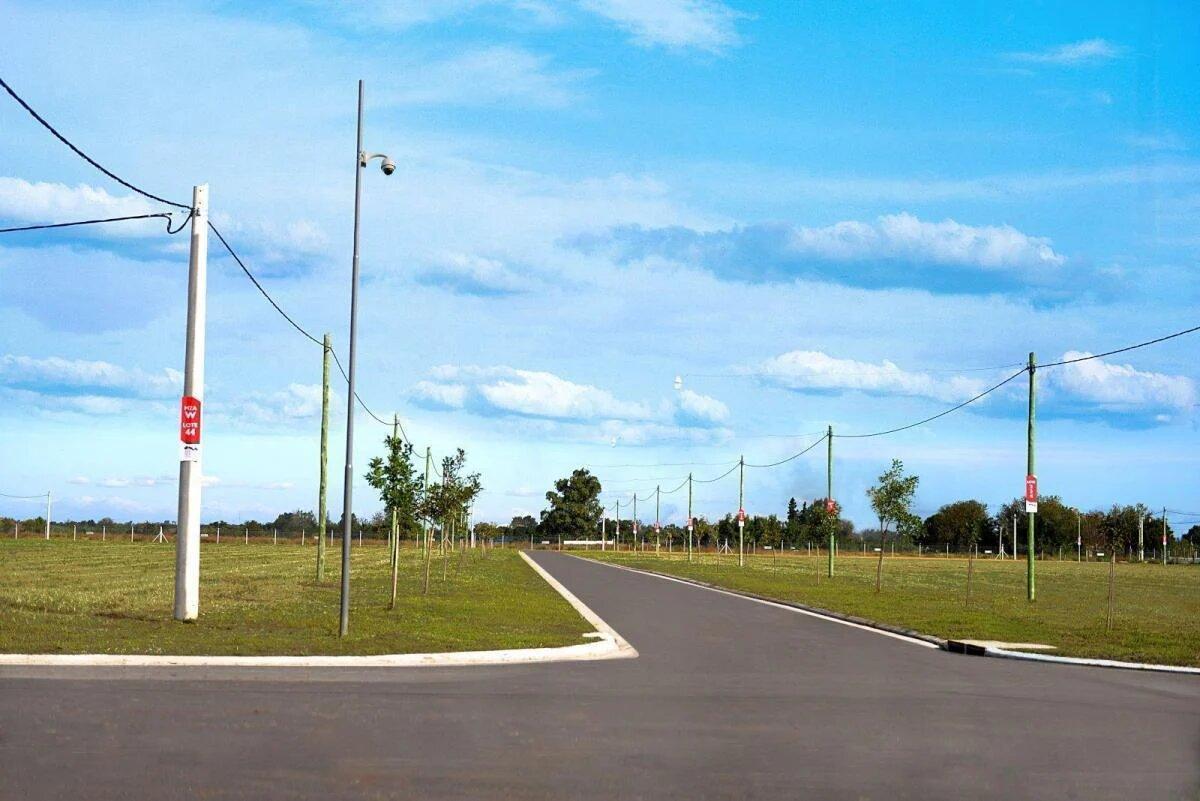 Foto de Terreno en venta - Lomas de Alicia, imagen 4