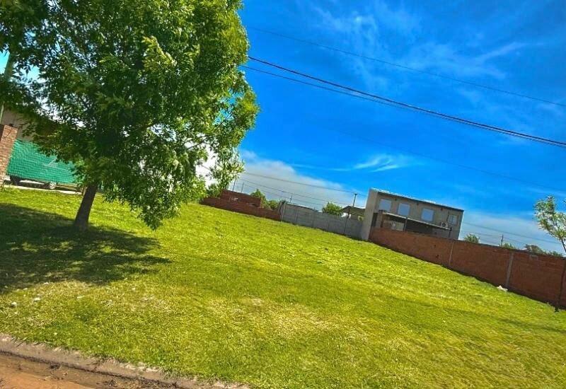 Foto de Terreno en venta - Lomas de Alicia, imagen 1