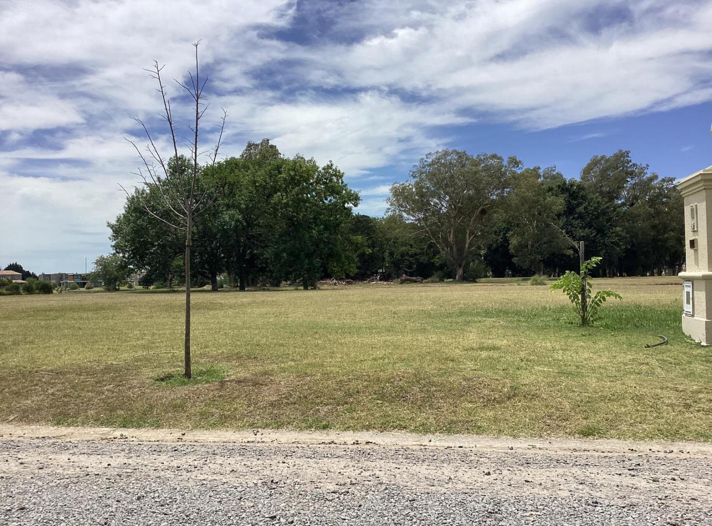 Foto de Lote 113 en Lagos de San Eliseo -, imagen 4