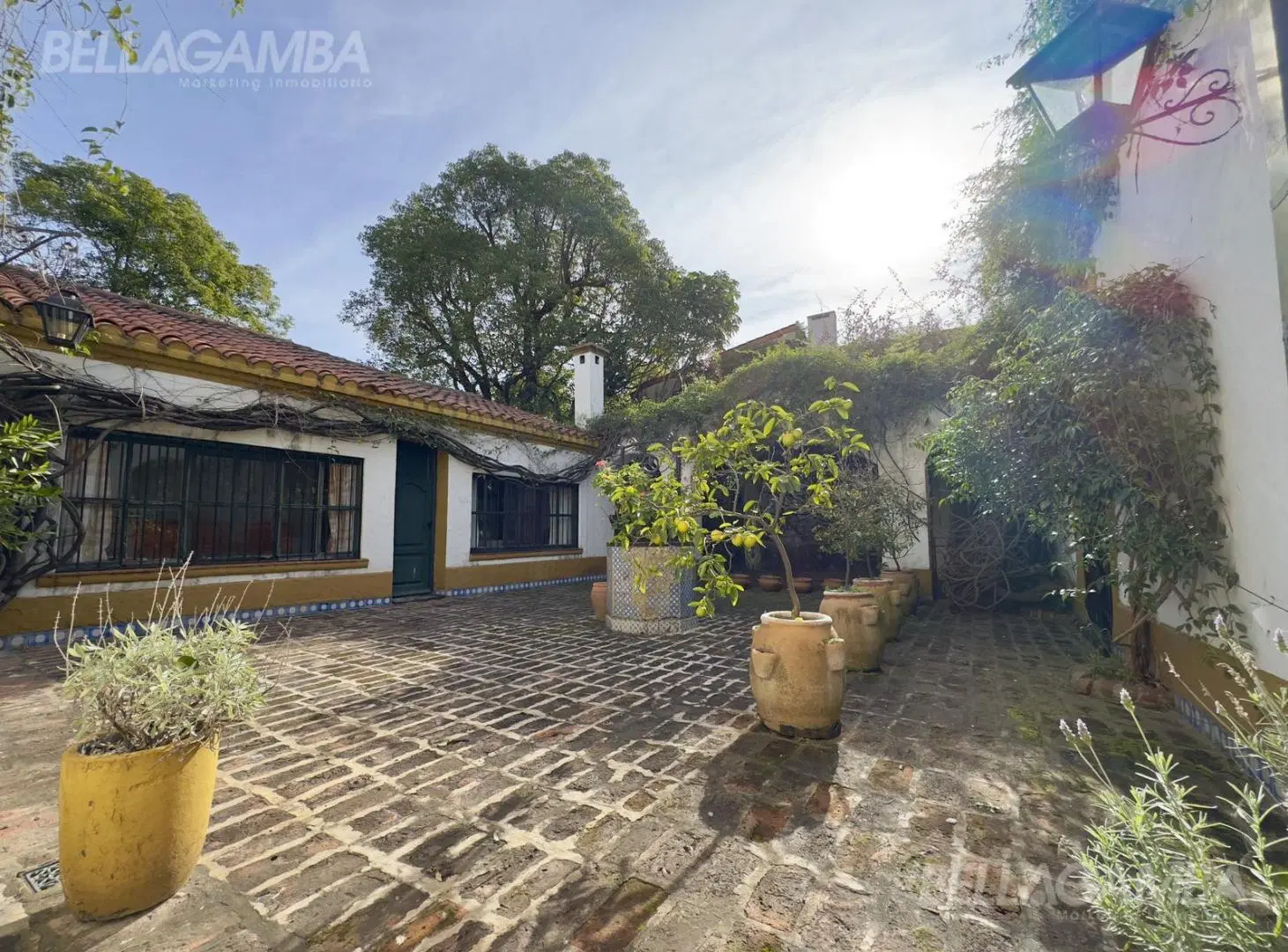 CASA VENTA VICENTE LOPEZ 7 AMBIENTES JARDIN PILETA 5
