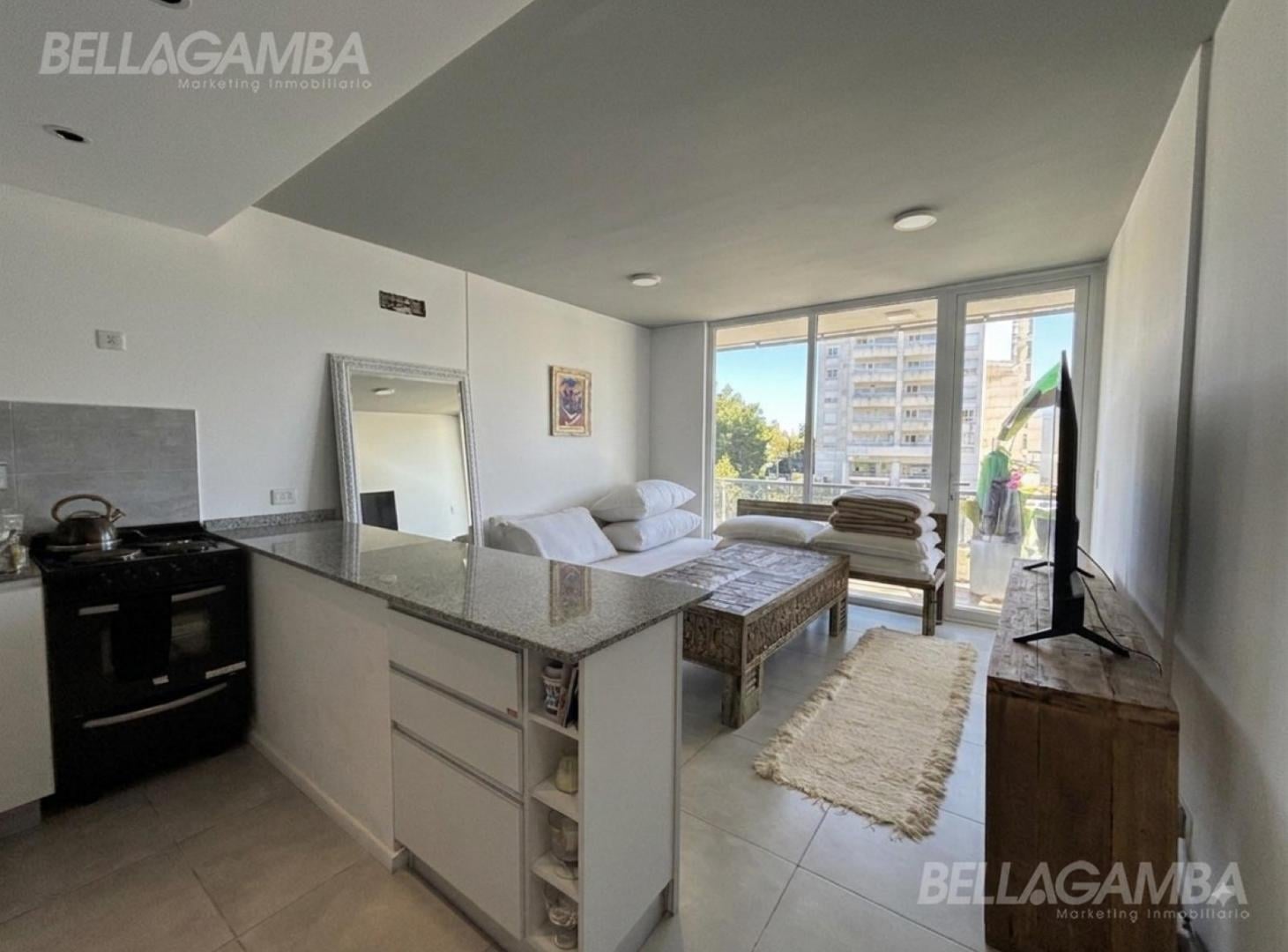 Foto de DEPARTAMENTO VENTA 2 AMBIENTES TIGRE, imagen 2