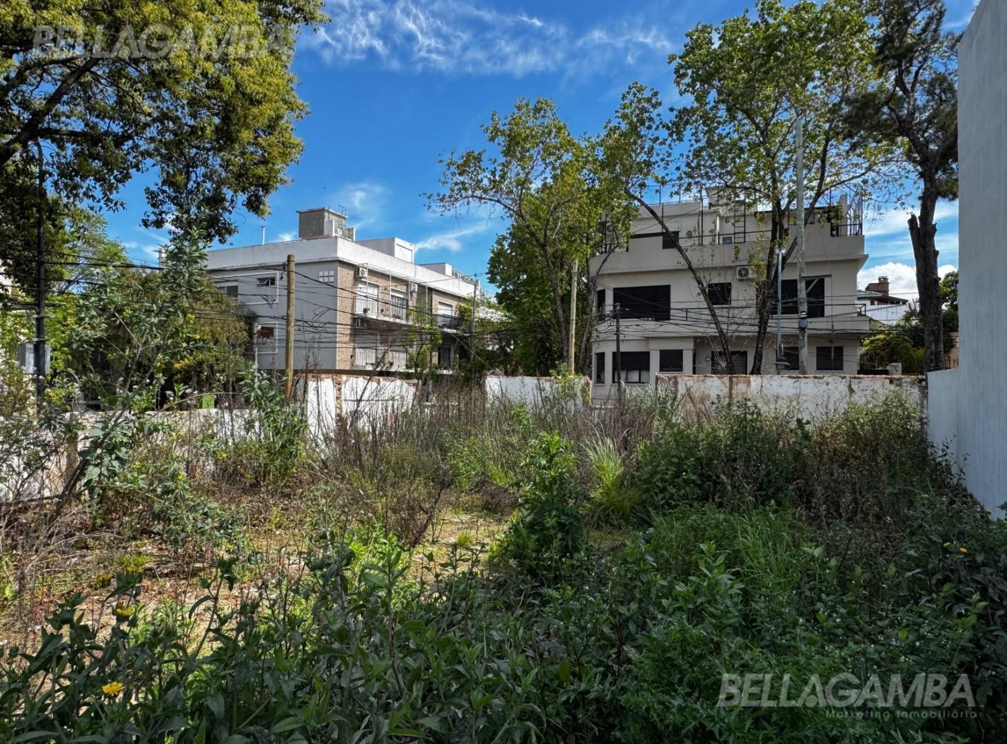 Foto de TERRENO VENTA VICENTE LOPEZ, imagen 2