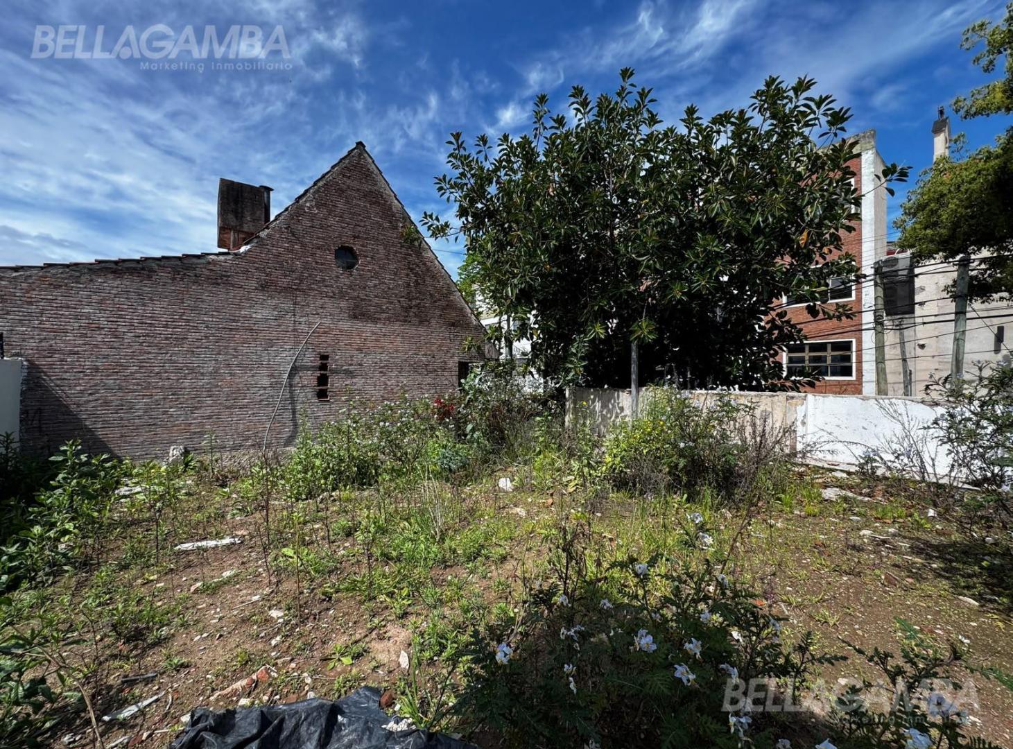 Foto de TERRENO VENTA VICENTE LOPEZ, imagen 5