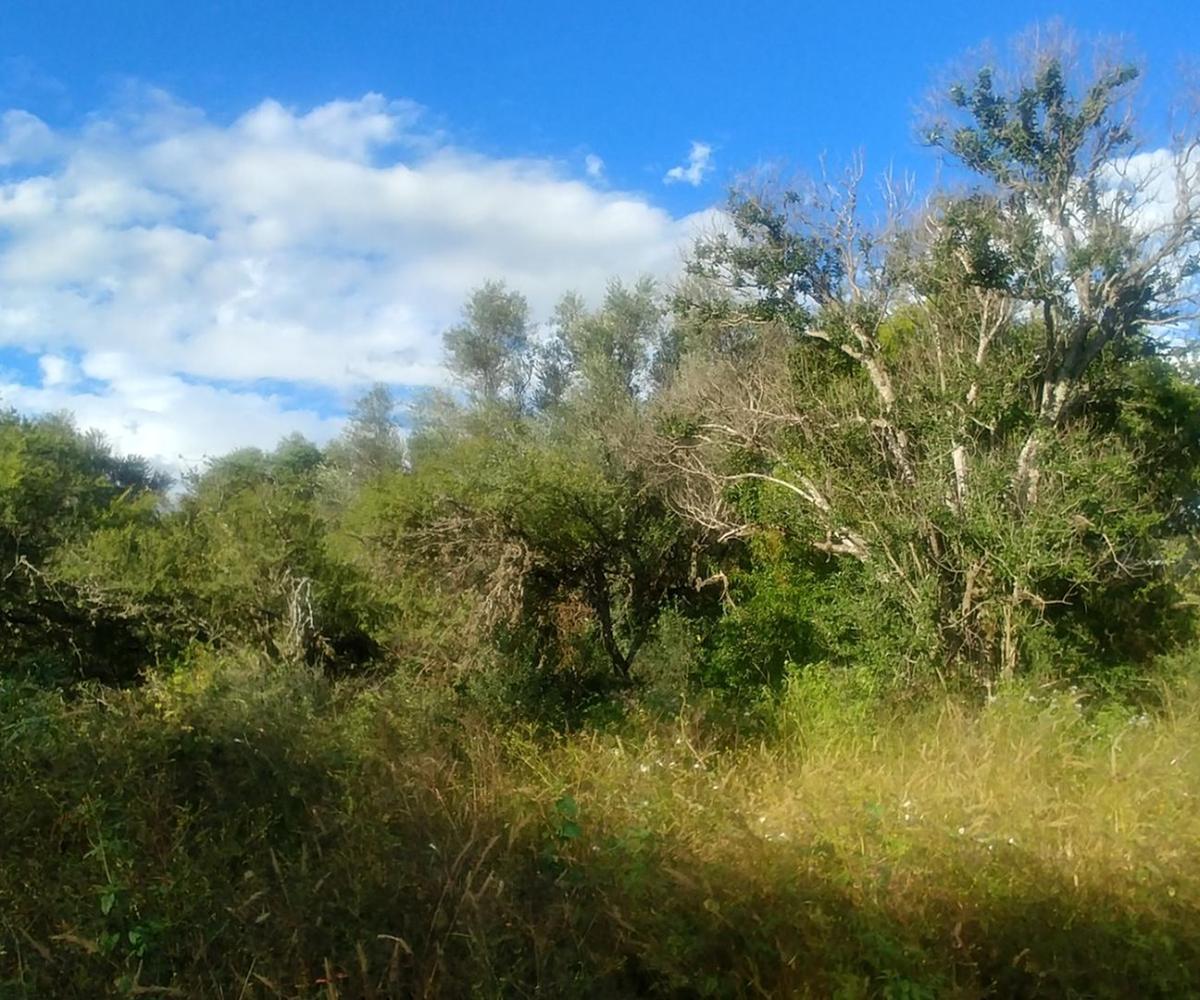 Lote Para Vivienda a 1 Cuadra Av Fermín Romero 880 m² 4