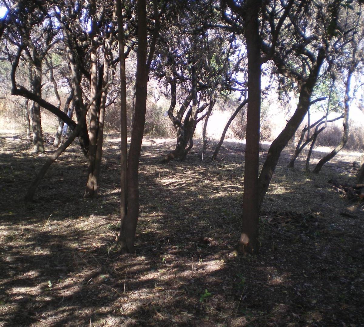 Foto de Villa de Merlo, Fracción de 26000 m2 s/Cta de la Granadilla, imagen 5