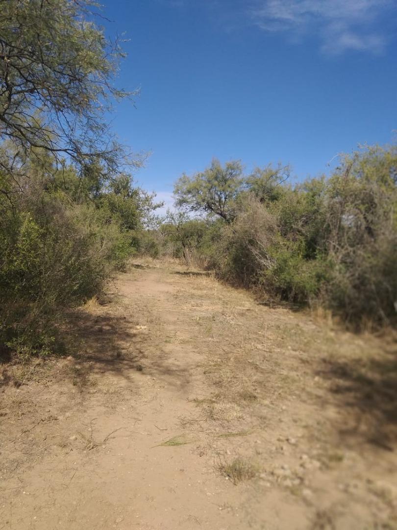 Campo 1 Ha 1,6 km de ruta 5 y 6,7 km entrada Villa de Merlo