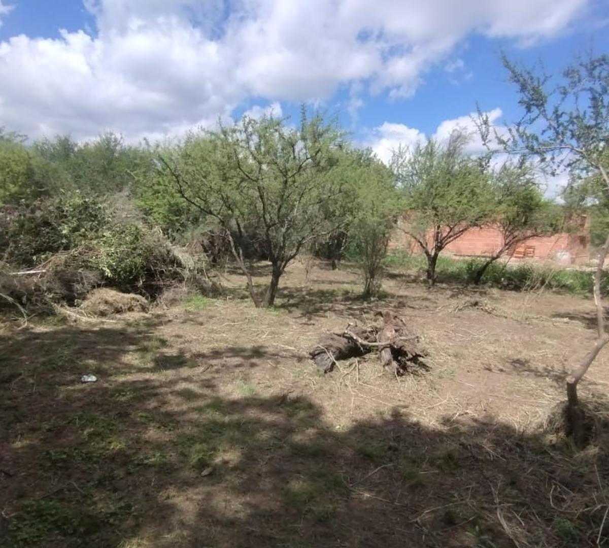 Villa de Merlo, Piedra Blanca Abajo, Lote 900 m² 3