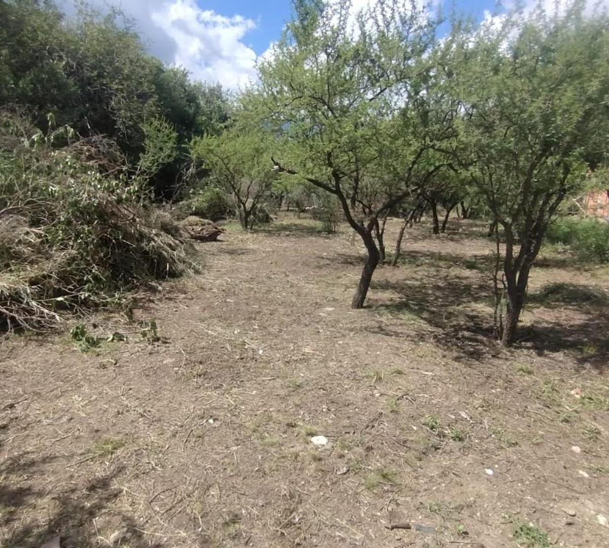 Villa de Merlo, Piedra Blanca Abajo, Lote 900 m² 4