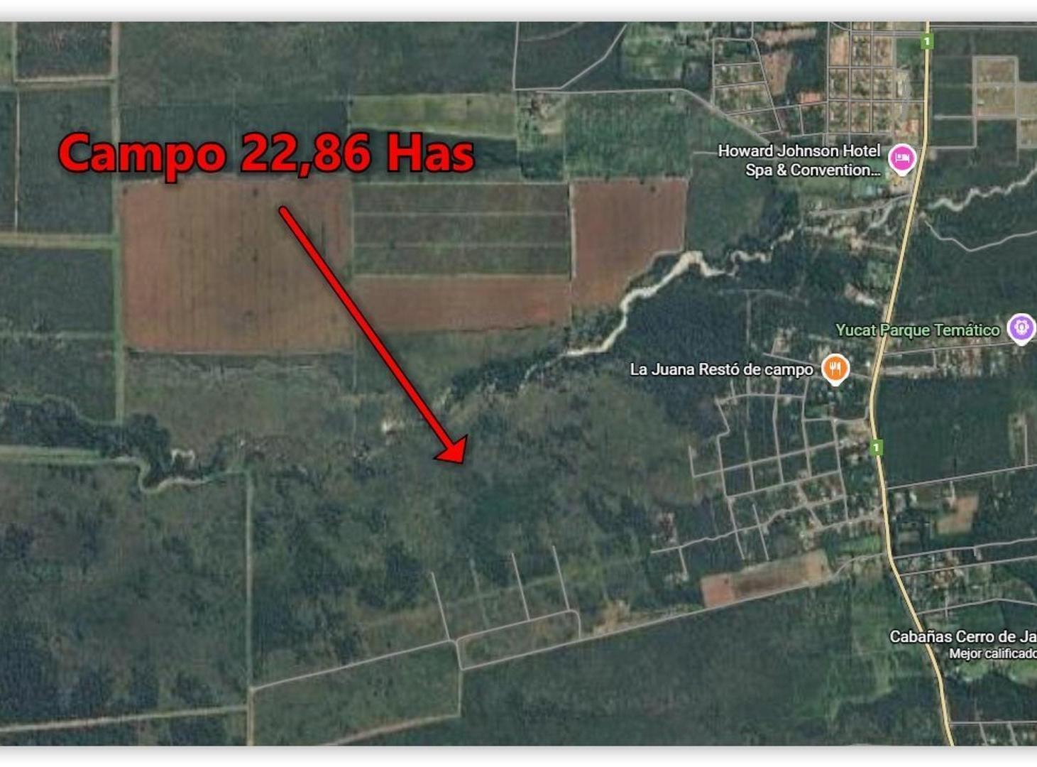 Villa de Merlo, a 600 mts ruta 1, altura La Herminda 22 Has