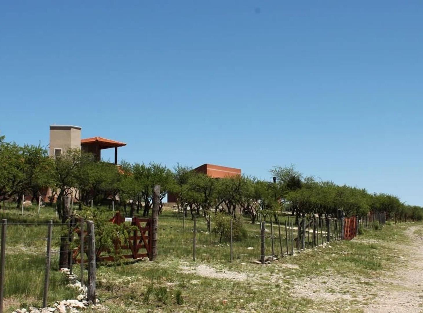 Foto de Calaguala, Villa de Merlo, 1 ó 2 lotes 1.000 y 902 m2 c/u, imagen 4