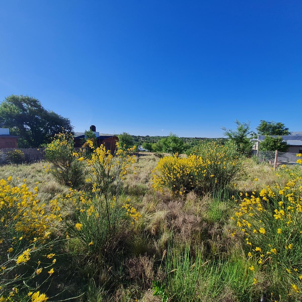 Imperdible Terreno en Venta! 5