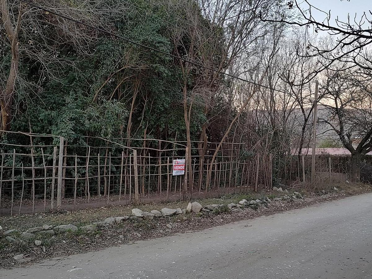 Foto de Hermoso Terreno en Venta, imagen 3