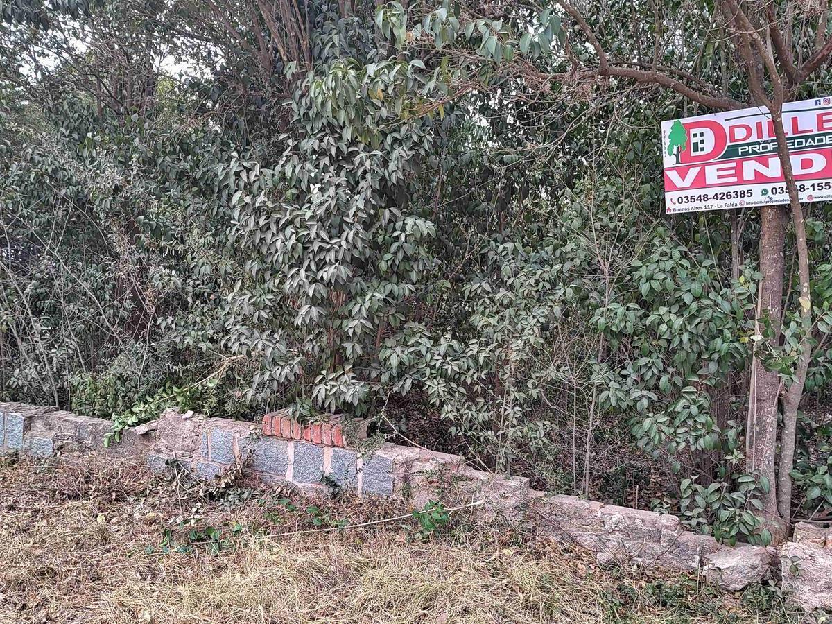 Foto de Gran Terreno en Venta, imagen 4