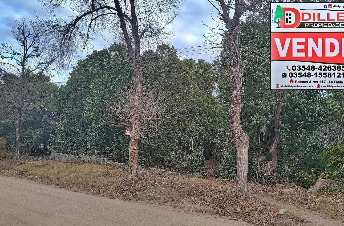 Foto de Gran Terreno en Venta, imagen 3