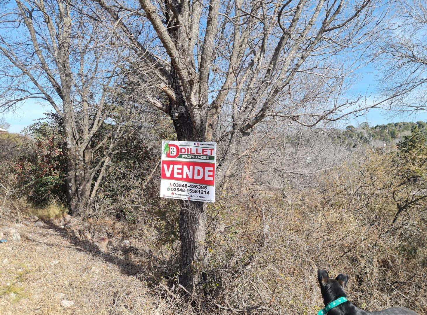 Foto de Terreno en venta Oportunidad, imagen 3