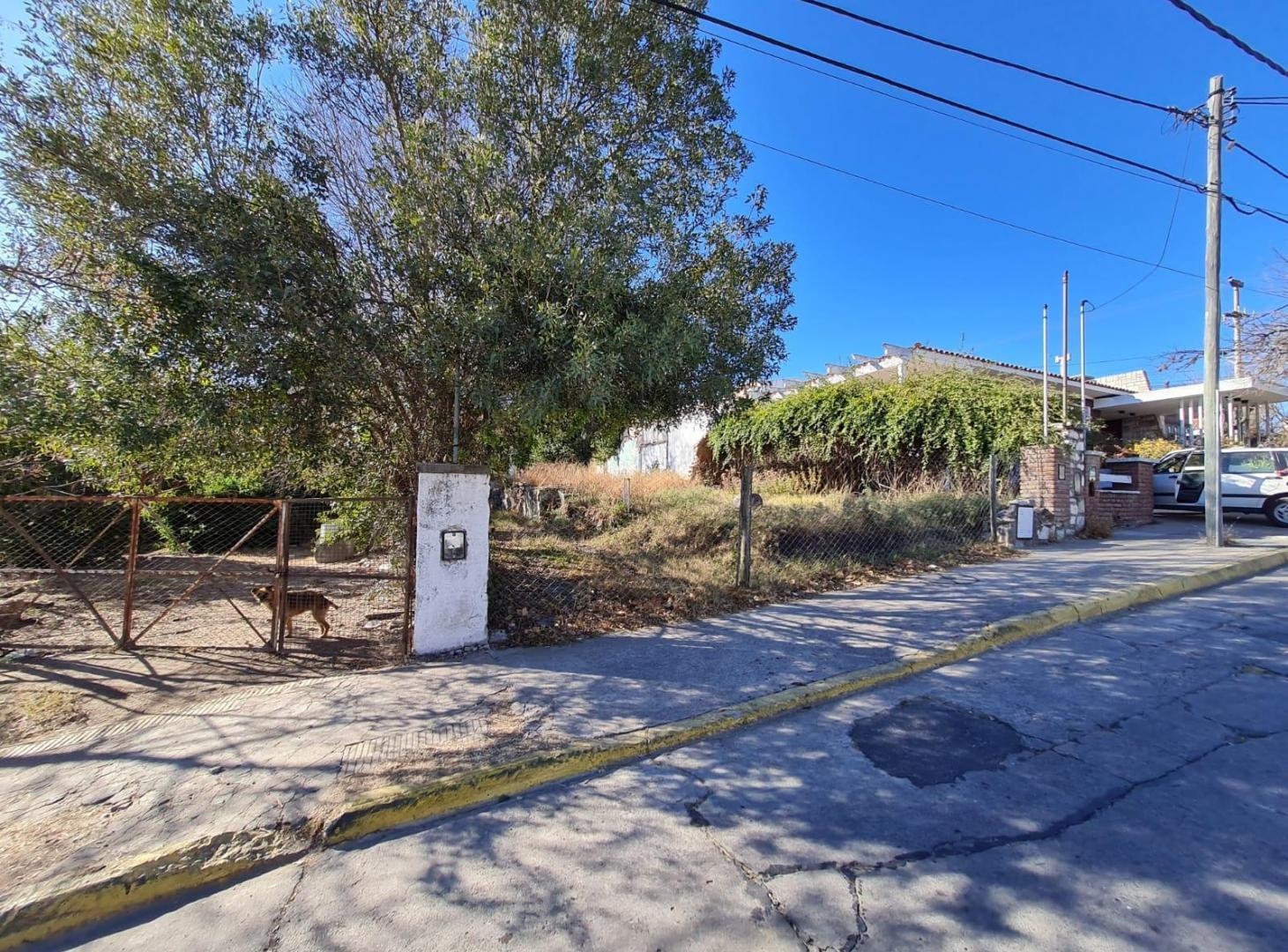 Foto de Terreno en LA FALDA, imagen 2