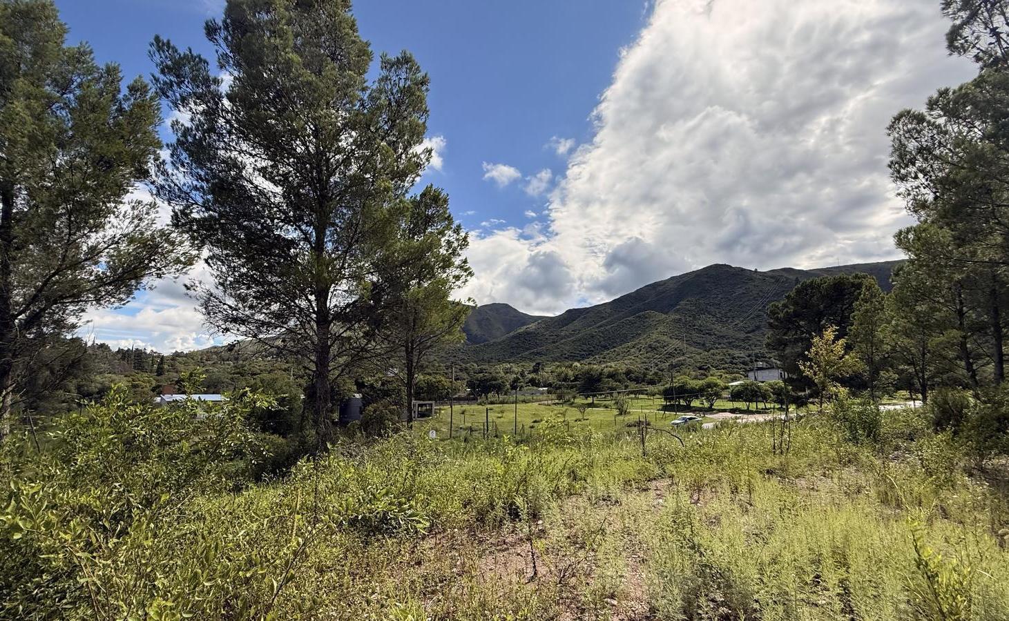 Foto de Terrenos a la venta, imagen 5