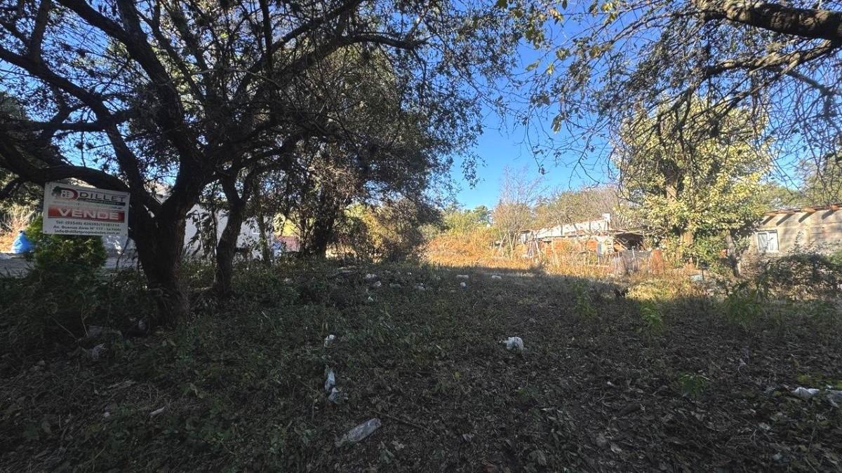 Foto de Terreno en La Falda, imagen 3