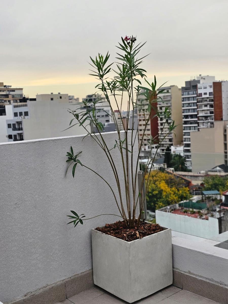 Duplex a Estrenar en Flores 4 Amb 2