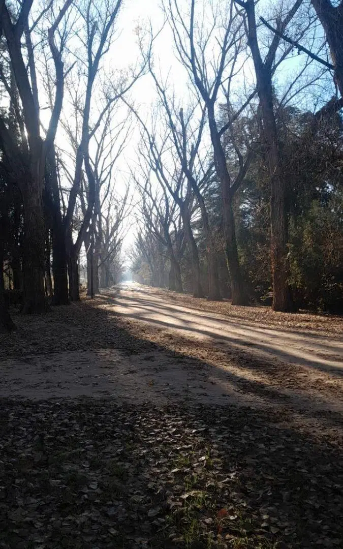 Venta de lote / terreno en zona jerárquica de 2516 m2 en San Huberto T177SH 3