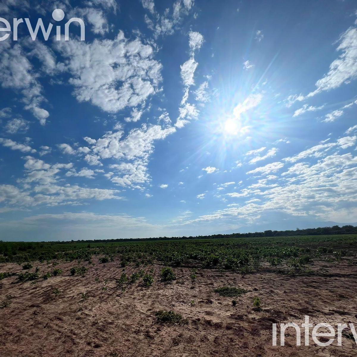 Foto de Campo de 838 has en El Acheral - San Pedro - Pcia. de Jujuy, imagen 5