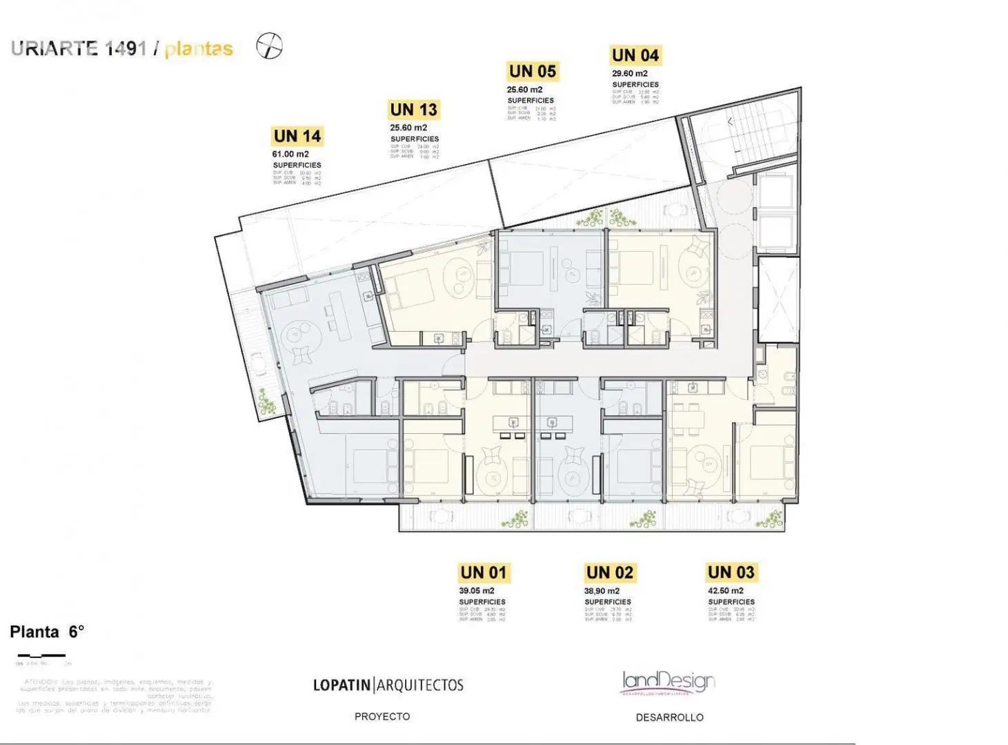 Plano 6