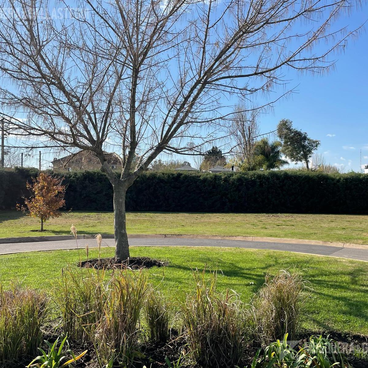 Terreno en venta en Ayres Plaza.