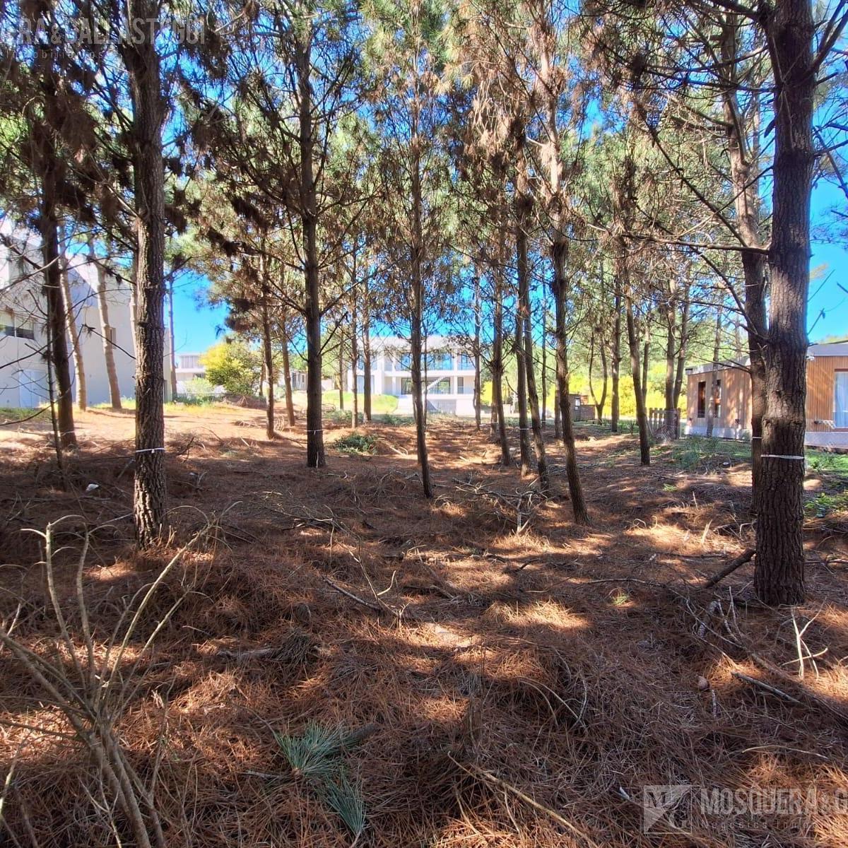 Terreno en Maritimo II, Costa Esmeralda 4